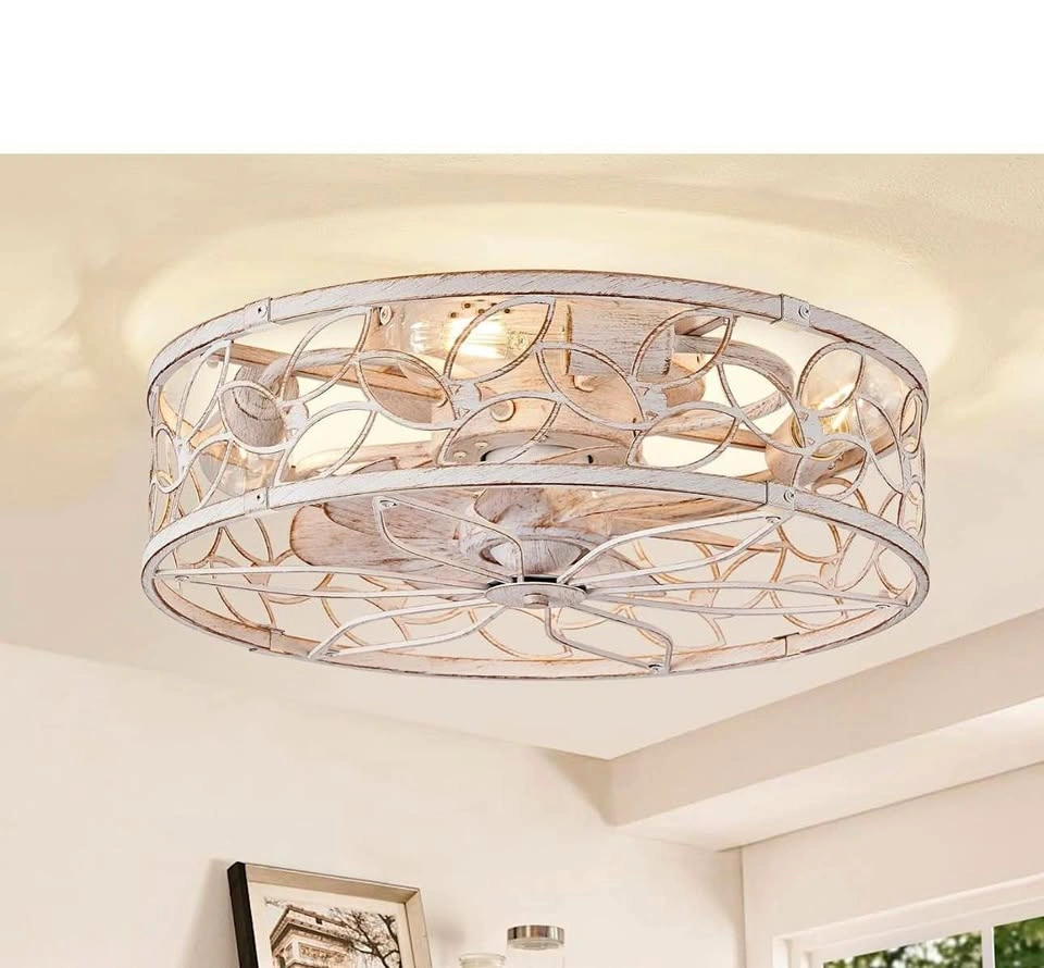 LEDIARY Caged Ceiling Fan with Light, Flush Mount Fandalier