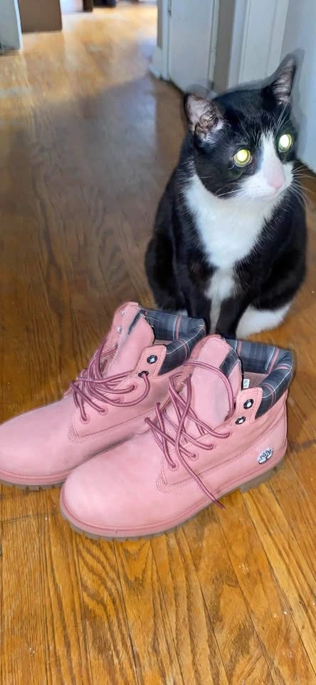 dusty rose timberlands size 7