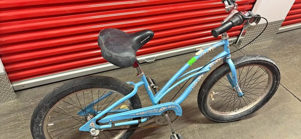 Electra Hawaii Cruiser Bike - Light Blue