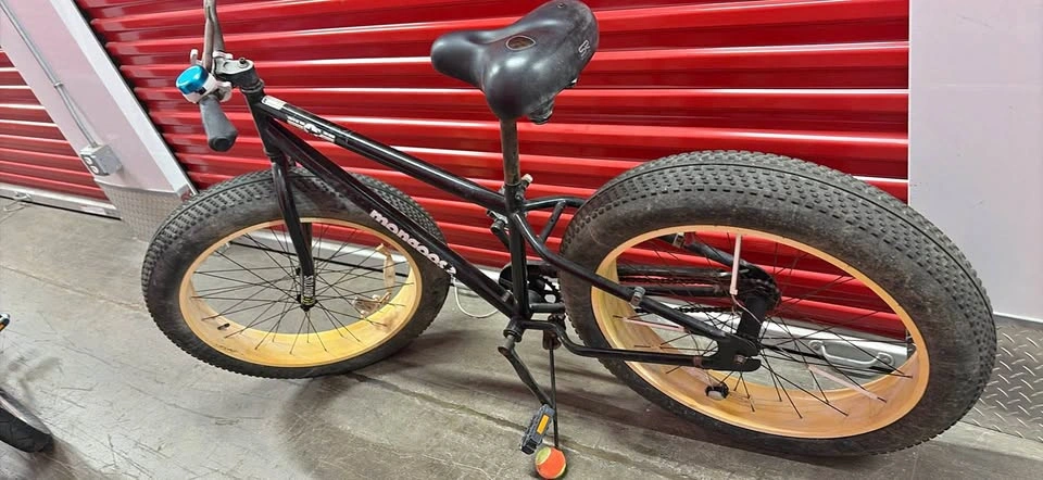 Mongoose Brutus Fat Tire Mountain Bike