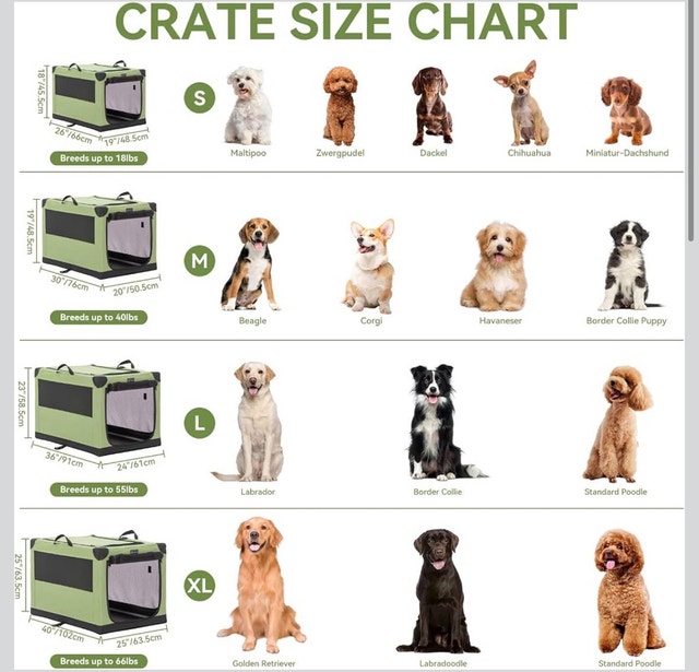 Petsfit Dog Crates for Medium Dogs, 36" L x 24" W x 23" H - photo 2