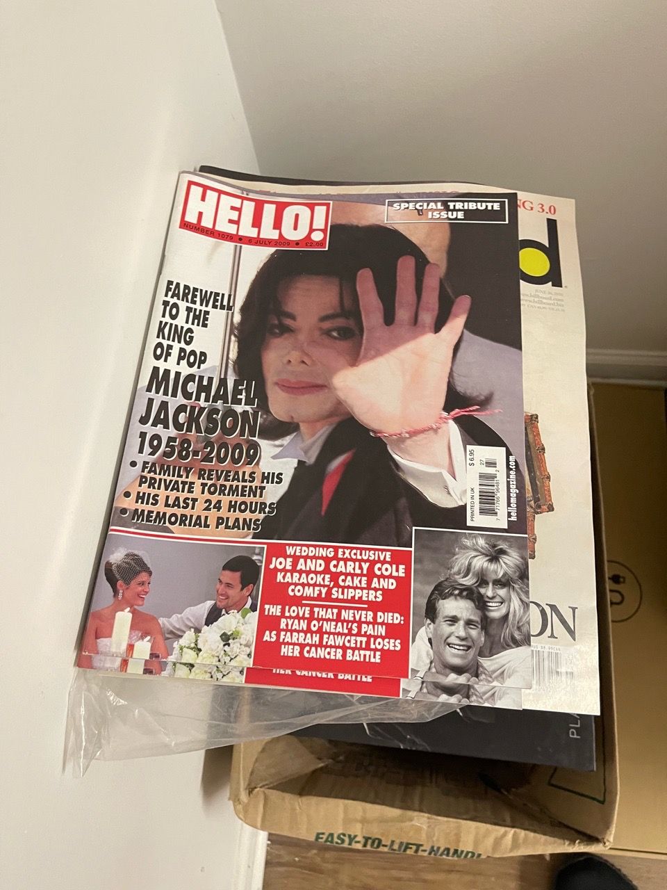 Michael Jackson Collector’s Memorabilia Lot - photo 2