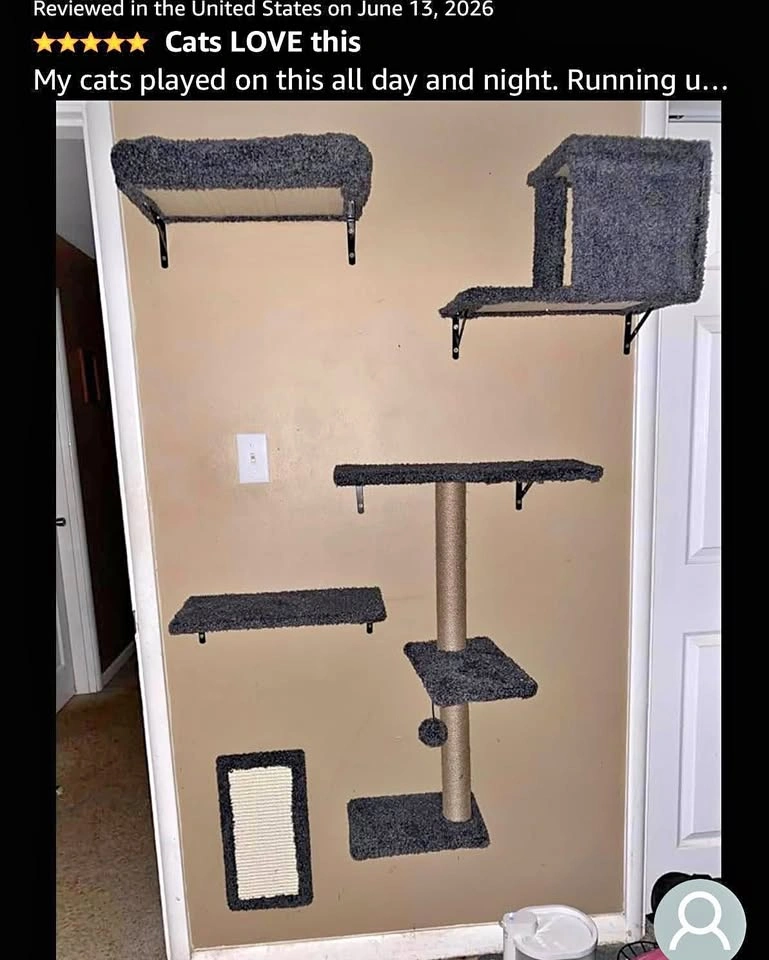 6-in-1 Wall Mounted Cat Furniture - Dark Grey