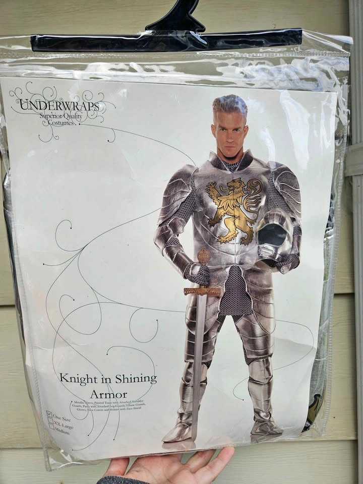 Knight in Shining Armour Halloween Costume - Adult