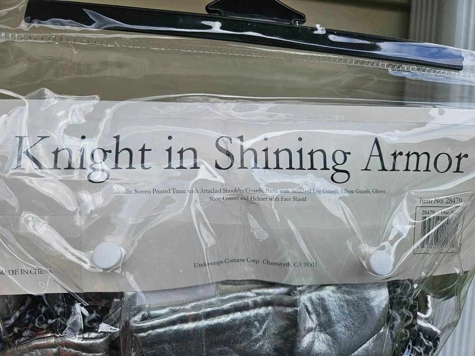 Knight in Shining Armour Halloween Costume - Adult - photo 2