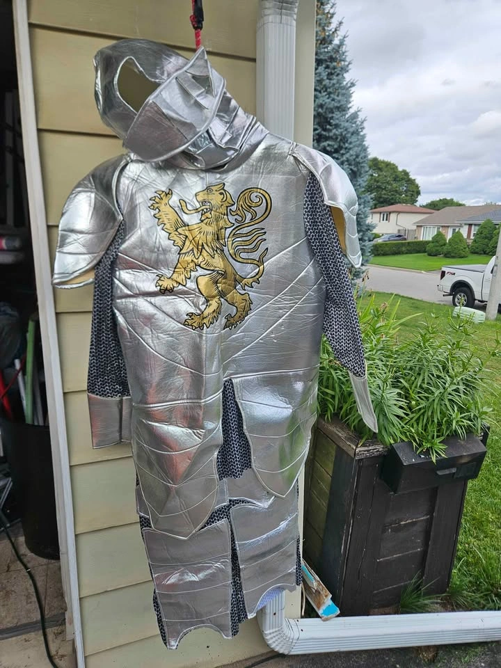 Knight in Shining Armour Halloween Costume - Adult - photo 3