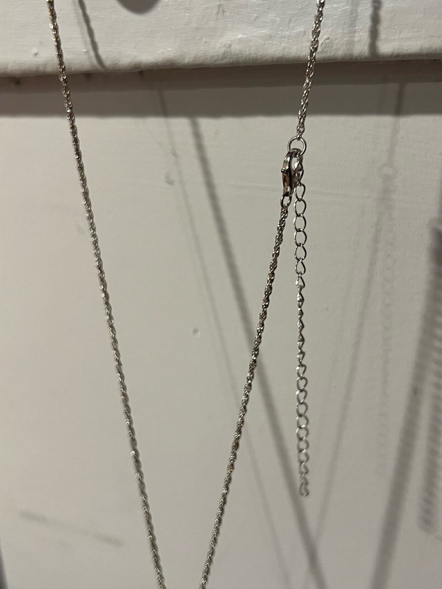Billie Eilish Blohsh Silver Friendship Necklace - photo 5