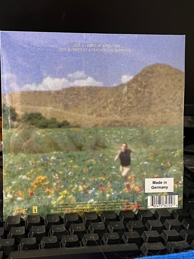 Billie Eilish BIRDS OF A FEATHER 7" Vinyl - photo 2