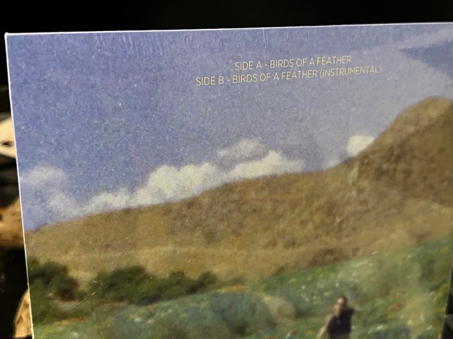 Billie Eilish BIRDS OF A FEATHER 7" Vinyl - photo 3
