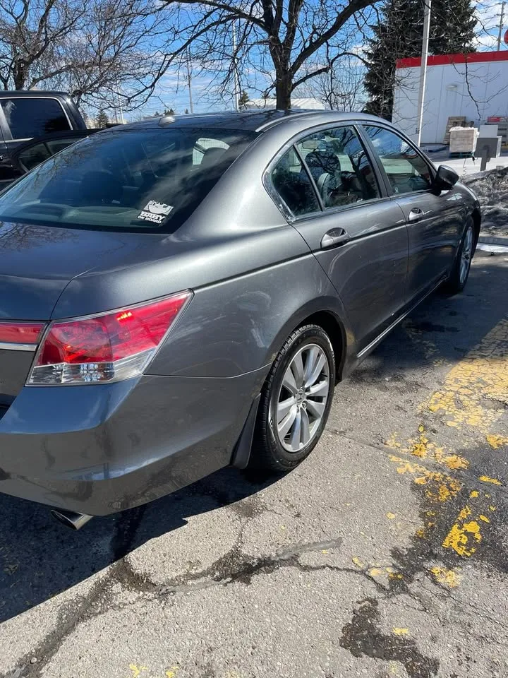2011 Honda Accord EX-L image indicator(8)