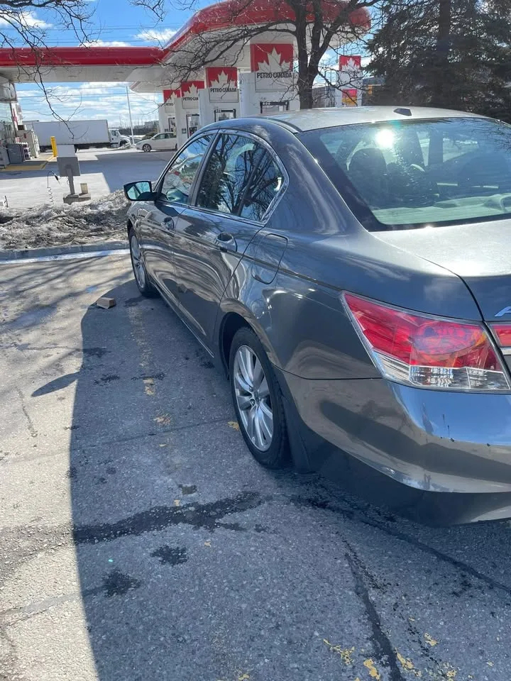 2011 Honda Accord EX-L image indicator(10)