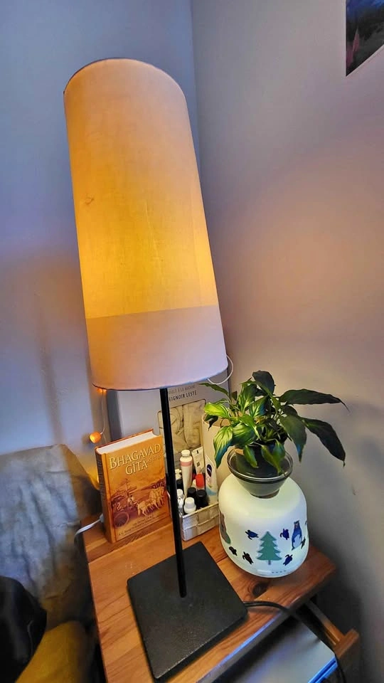 Modern Floor/ Nightstand Lamp with Cylinder Shade