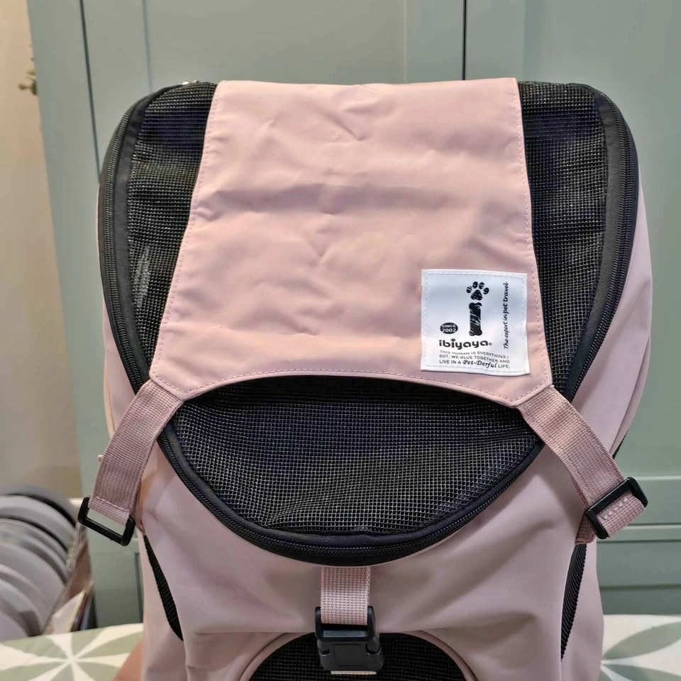 Pet carrier/backpack