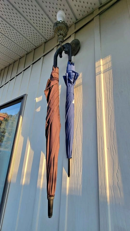 Umbrellas for sale