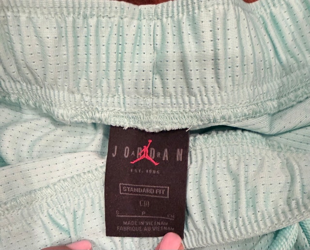 Jordan Mesh Shorts - photo 4