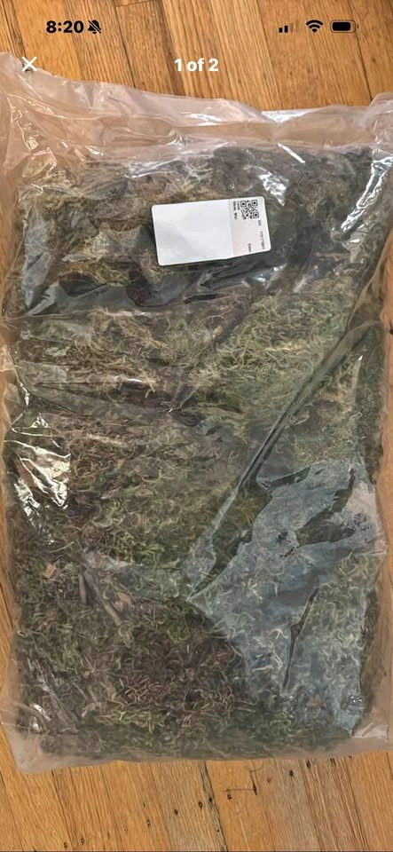 Large Bag Decorative Dried Moss