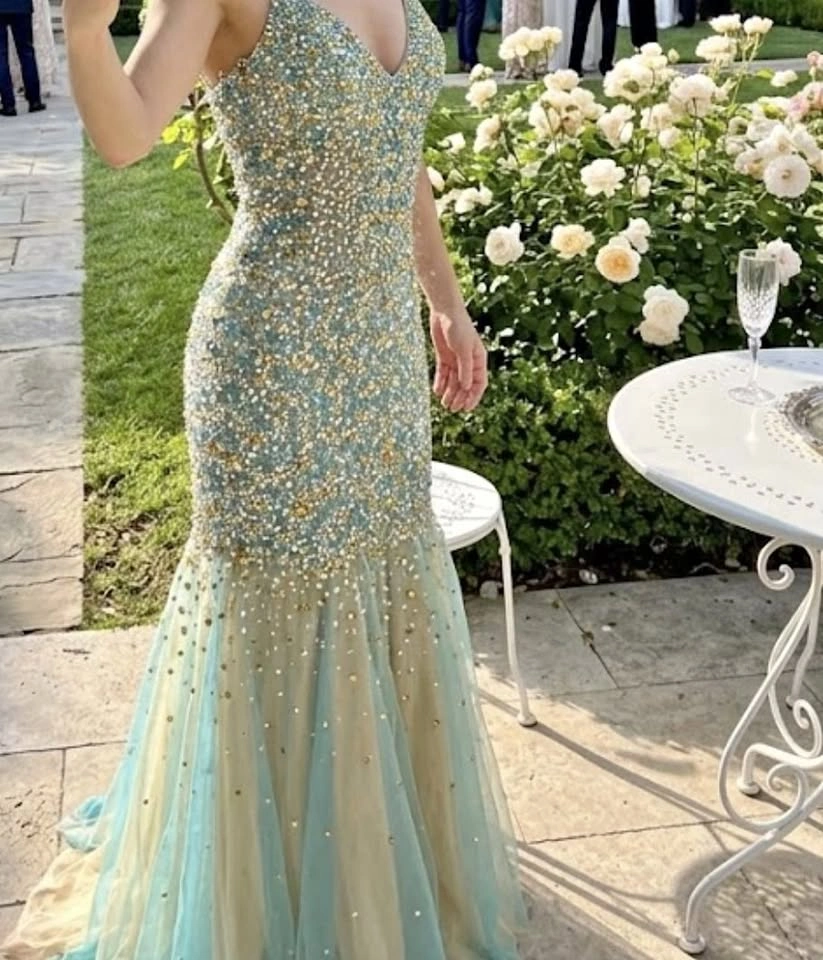 Stunning Glam Mermaid Dress