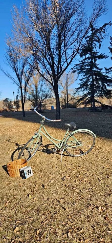 Linus Dutchi Heritage City Bike (Sage Green) - Upgraded