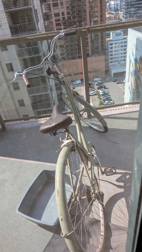 Linus Dutchi Heritage City Bike (Sage Green) - Upgraded - photo 2