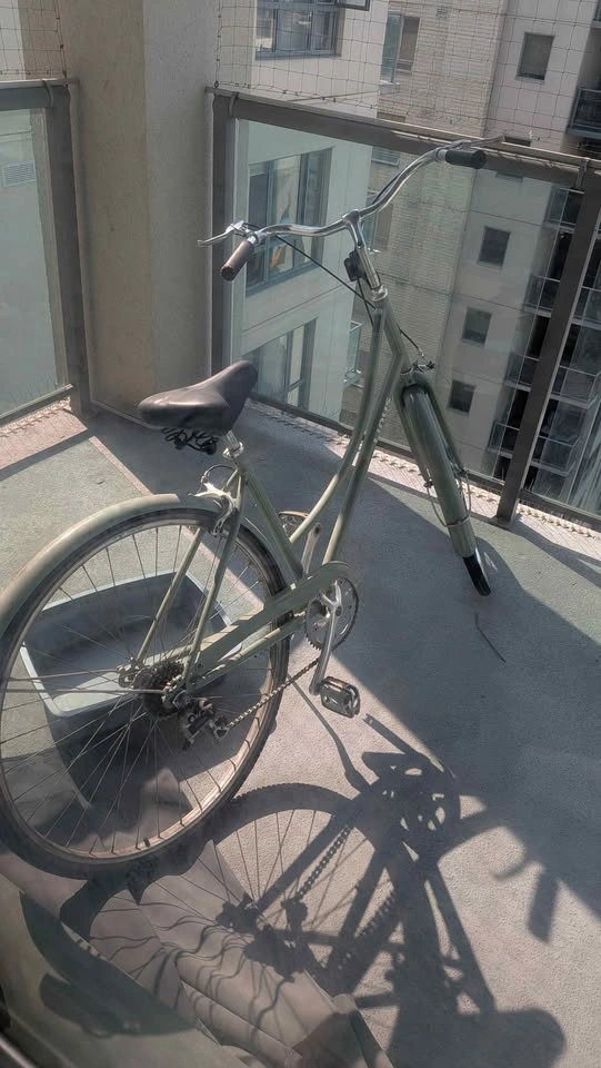 Linus Dutchi Heritage City Bike (Sage Green) - Upgraded - photo 3