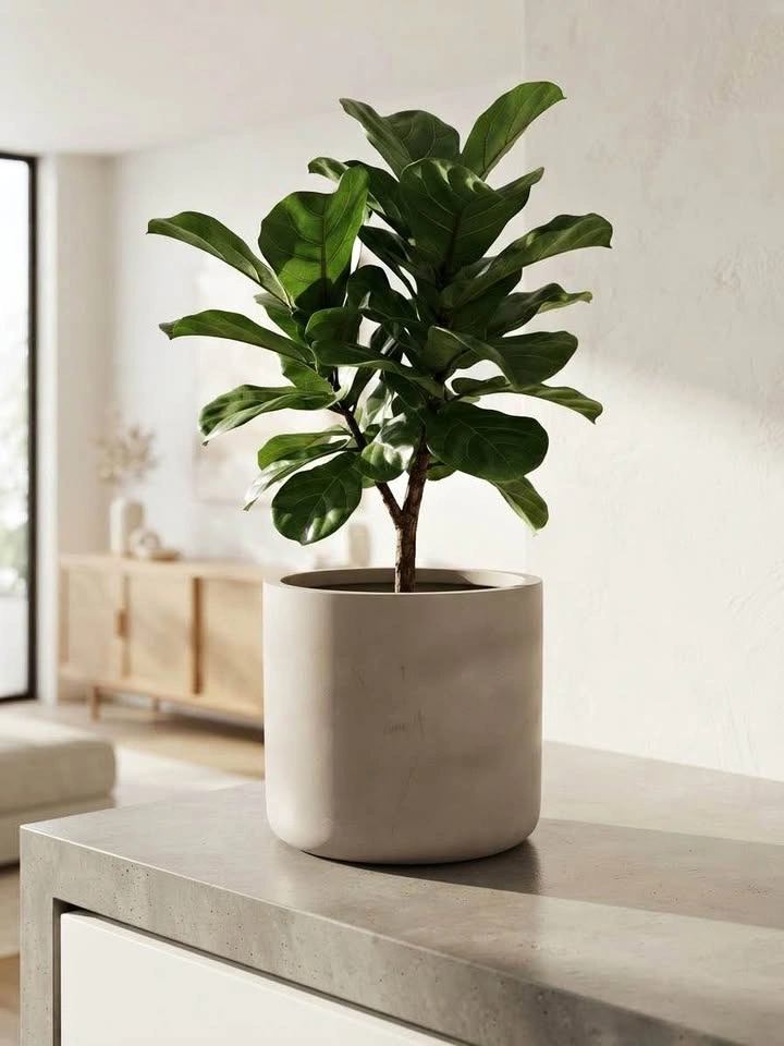 High-End Minimalist Cylindrical Planter — Mint Condition