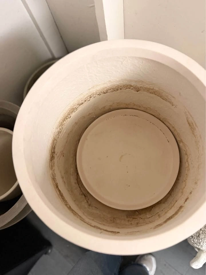 High-End Minimalist Cylindrical Planter — Mint Condition - photo 3