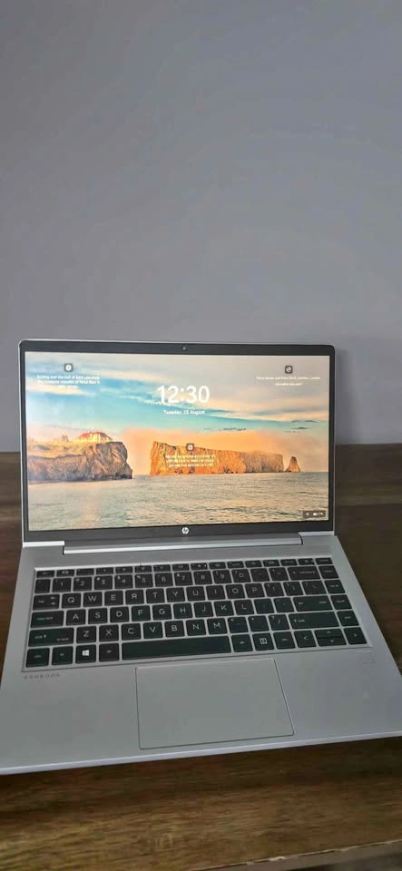HP ProBook 440 G8 Laptop