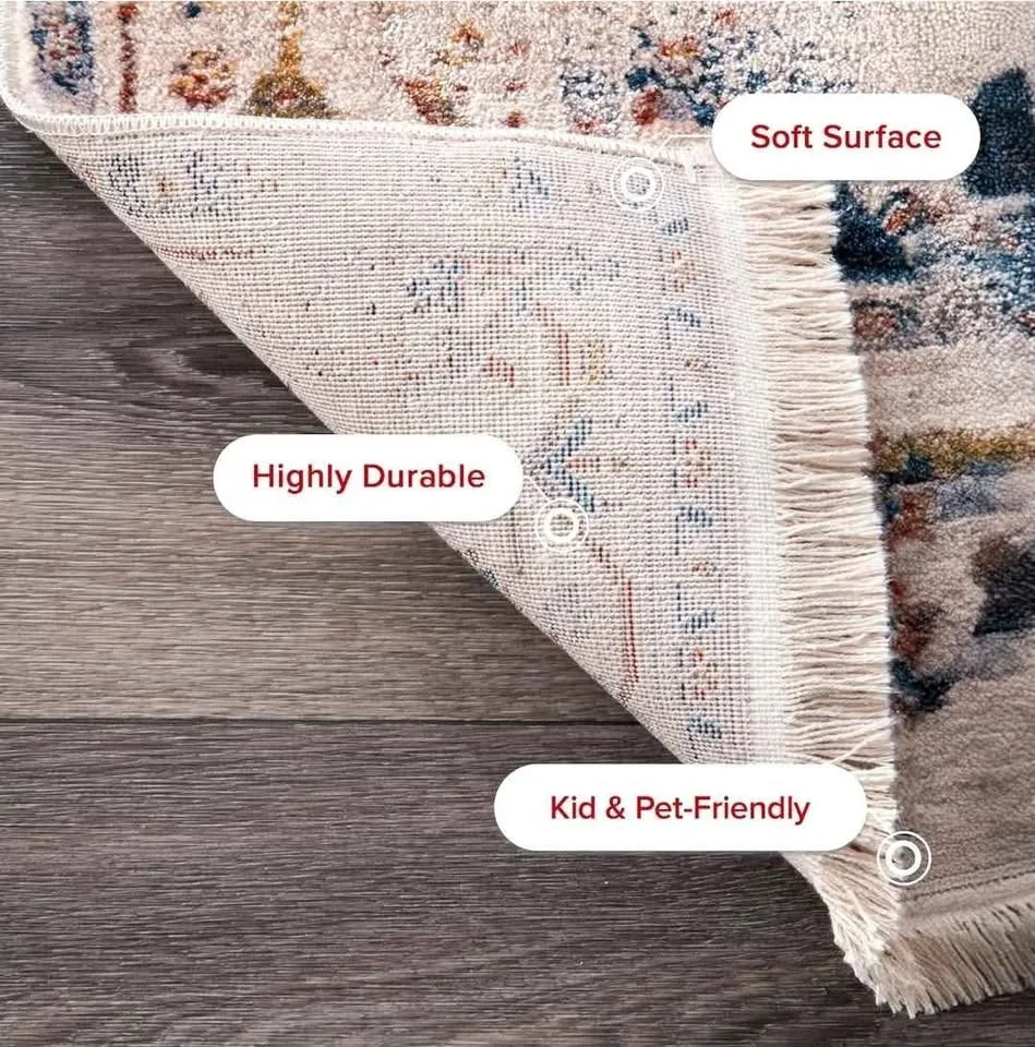 NEW - nuLOOM Vintage Rug, 4x6 image indicator(4)