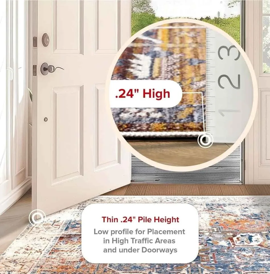 NEW - nuLOOM Vintage Rug, 4x6 image indicator(5)