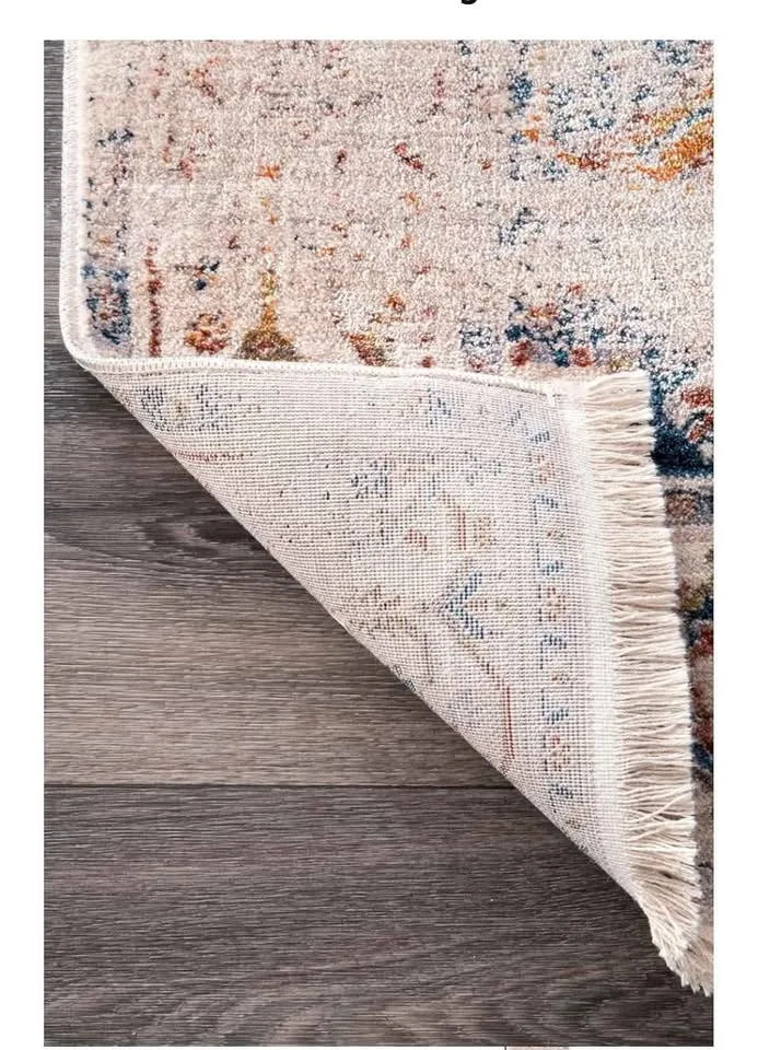 NEW - nuLOOM Vintage Rug, 4x6 image indicator(7)