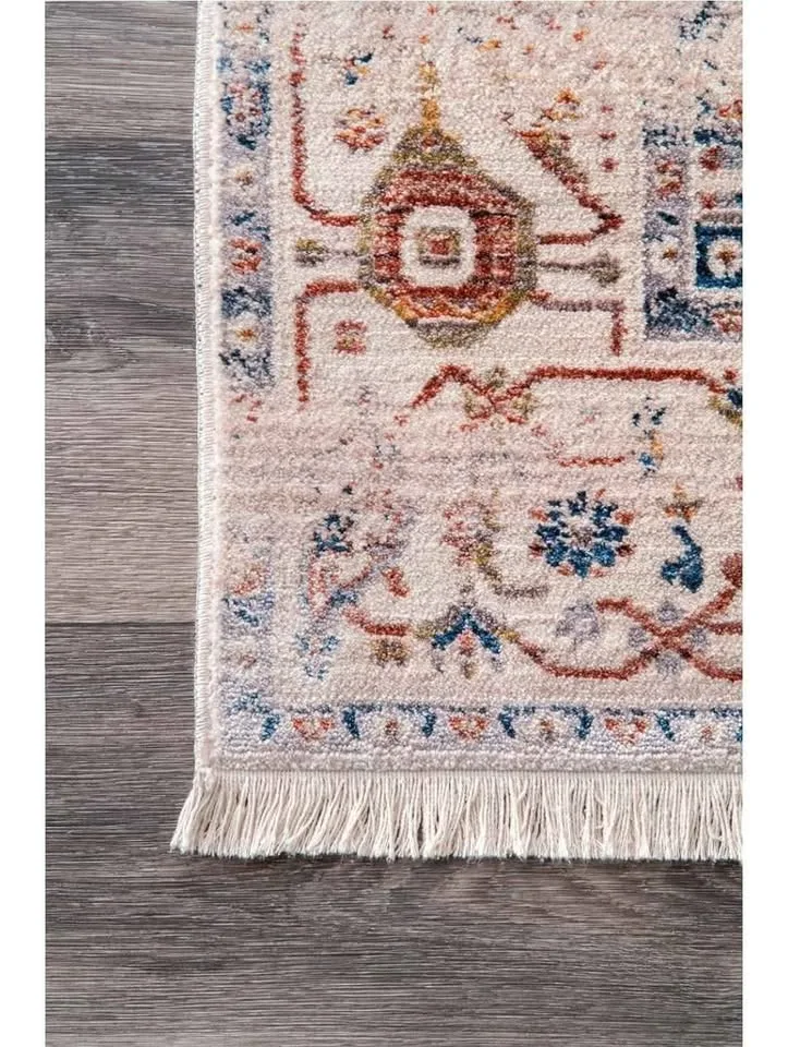 NEW - nuLOOM Vintage Rug, 4x6 image indicator(8)