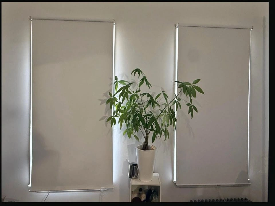 Set of 2 White Blackout Roller Shades – 36" x 72"