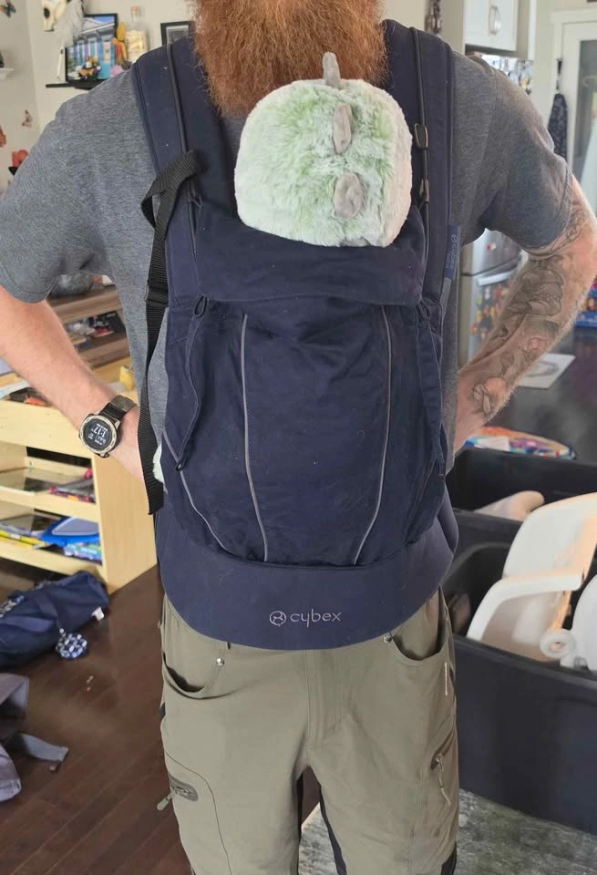 Cybex Gold Baby Carrier - photo 2