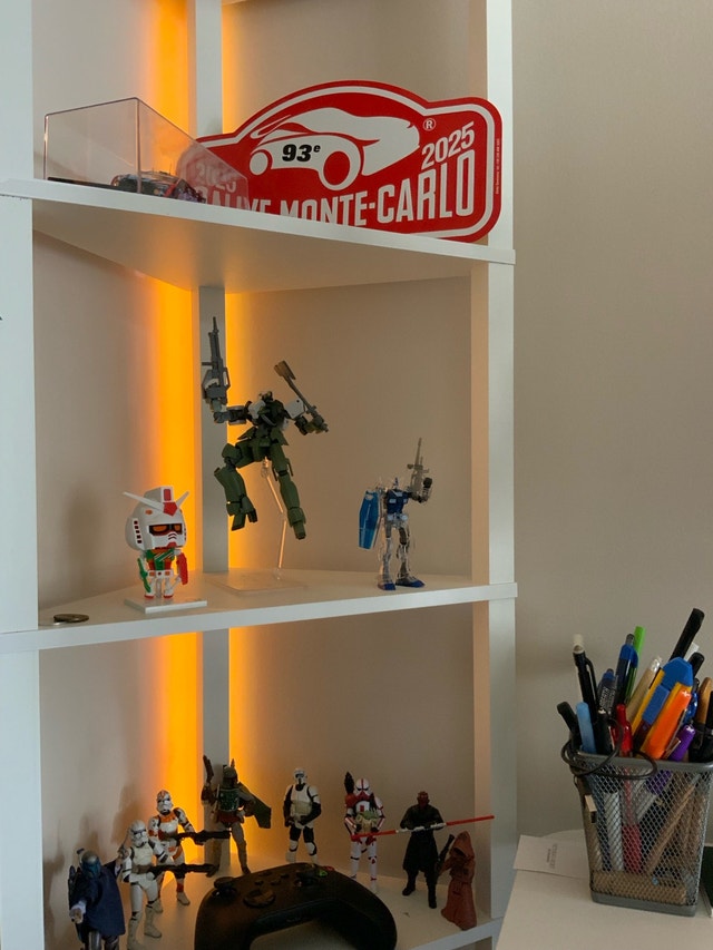 Shelve with RGB light