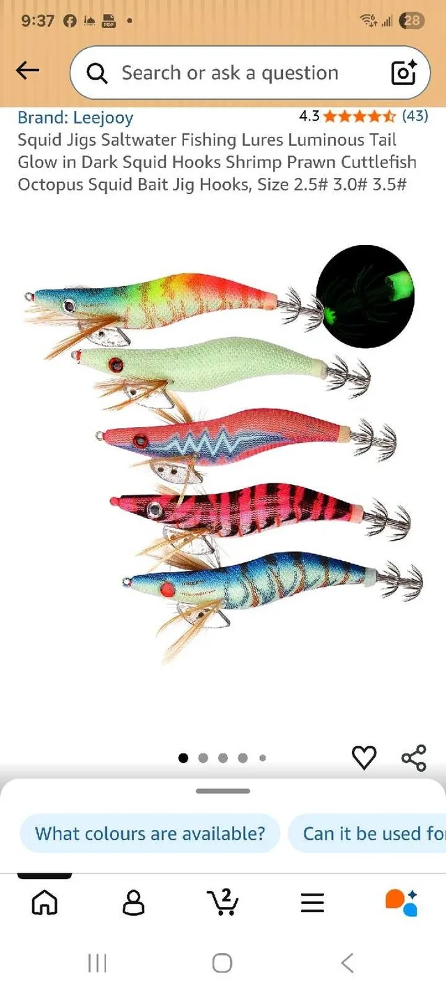 Leejooy Squid Jig Saltwater Fishing Lures