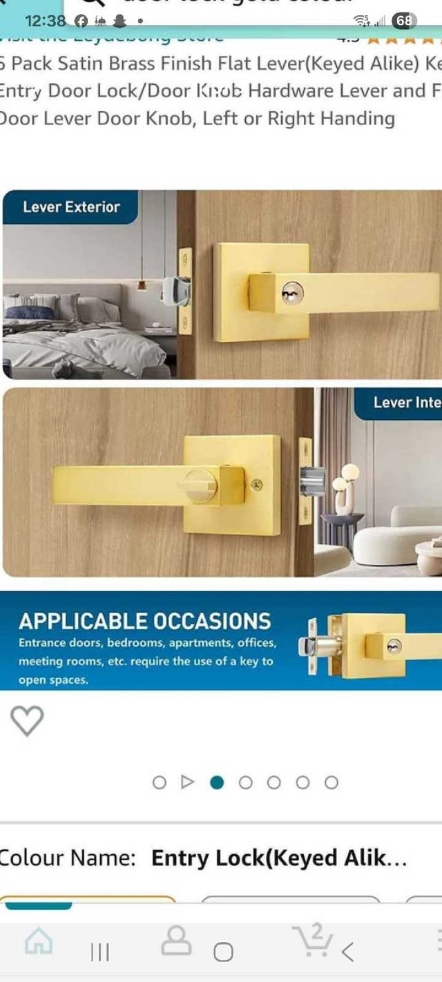 Leydebbong Door Lever