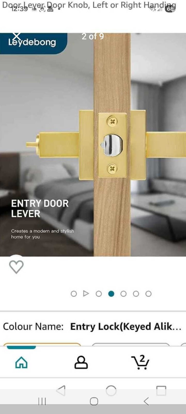 Leydebbong Door Lever - photo 2