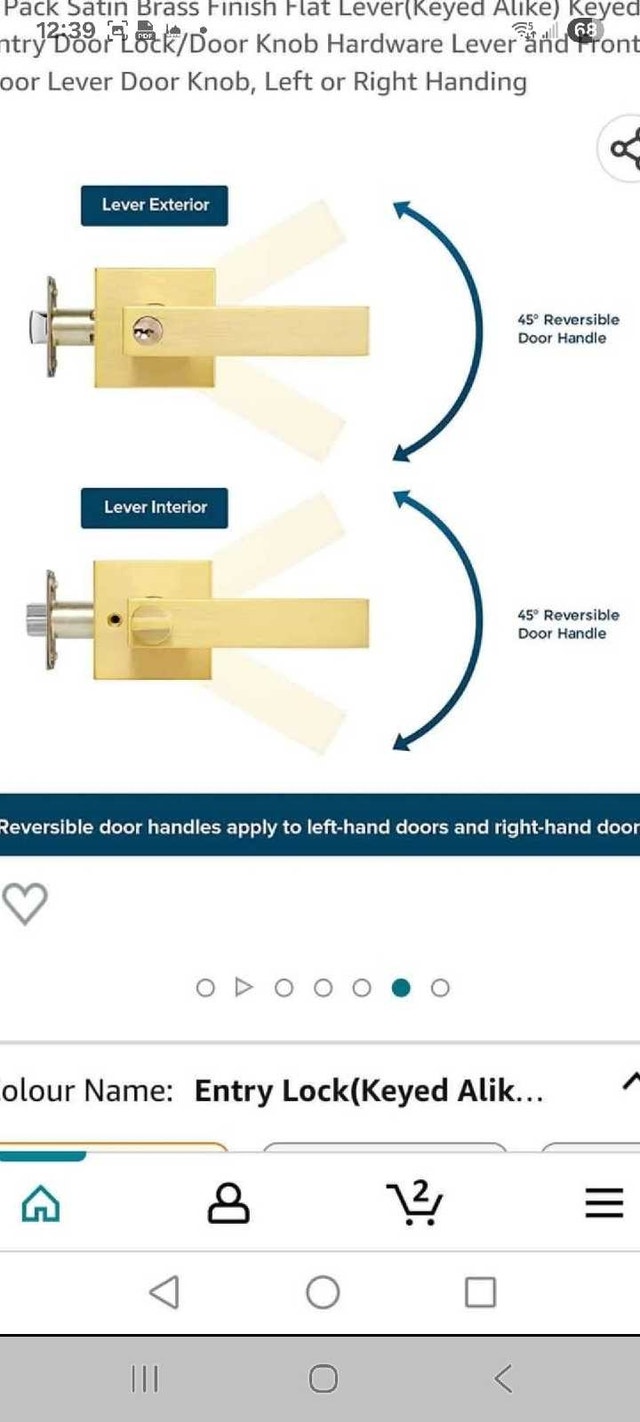 Leydebbong Door Lever - photo 4