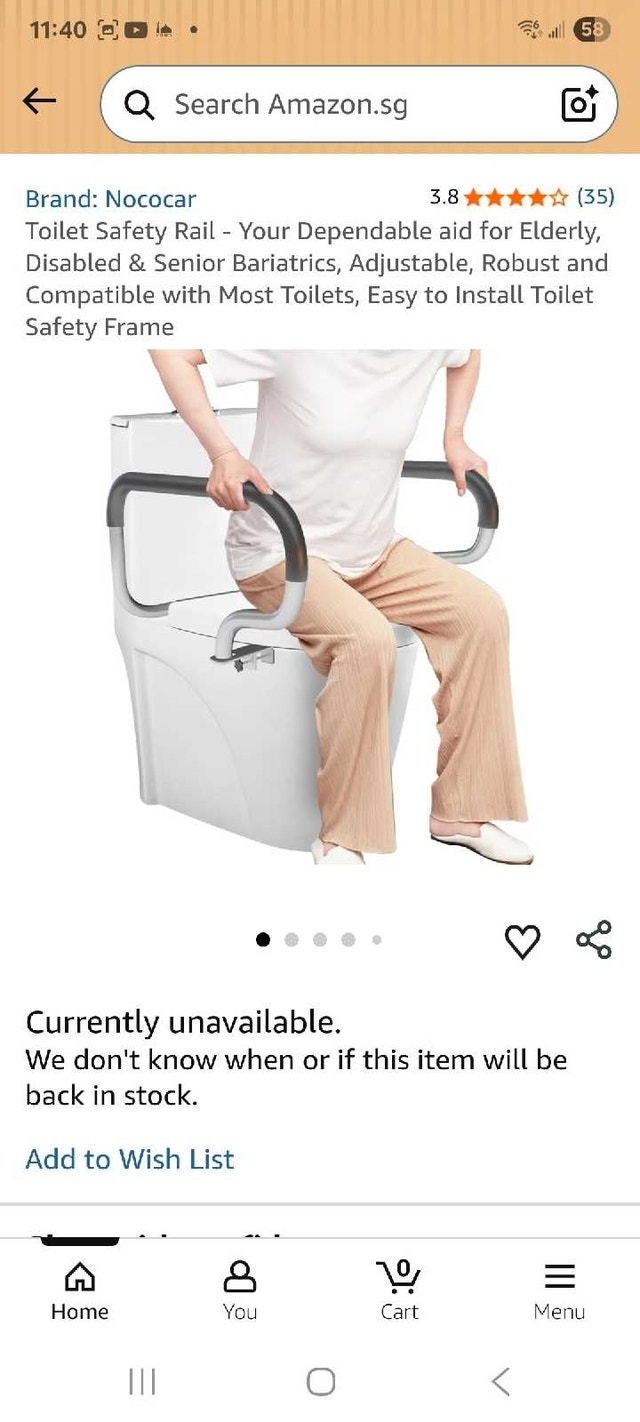 Nococar Toilet Safety Rail