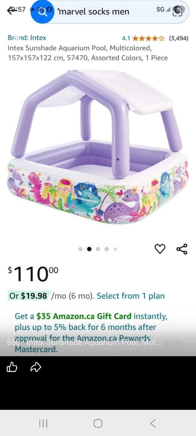 Intex Sunshade Pool