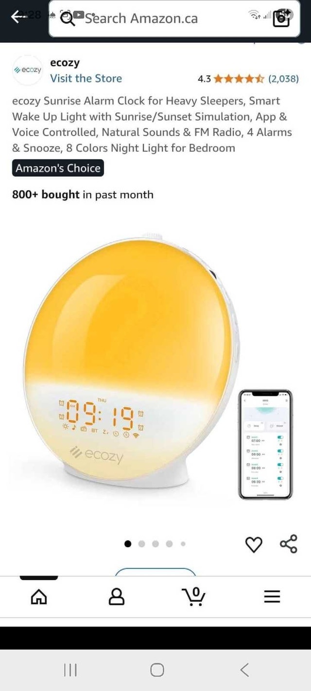 Ecozy Wake Up Light