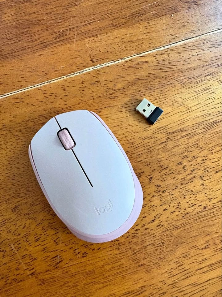 Logitech M170 Wireless Mouse