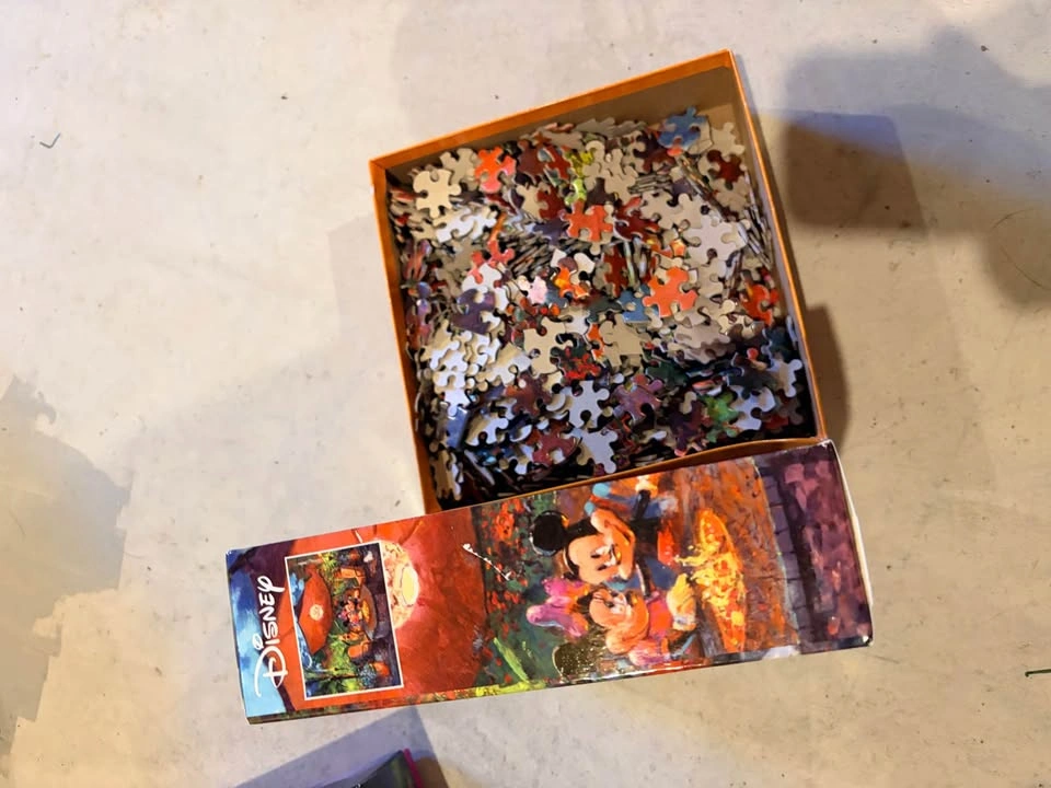 Ceaco Disney Fine Art James Coleman 1000 Piece Puzzle - photo 4