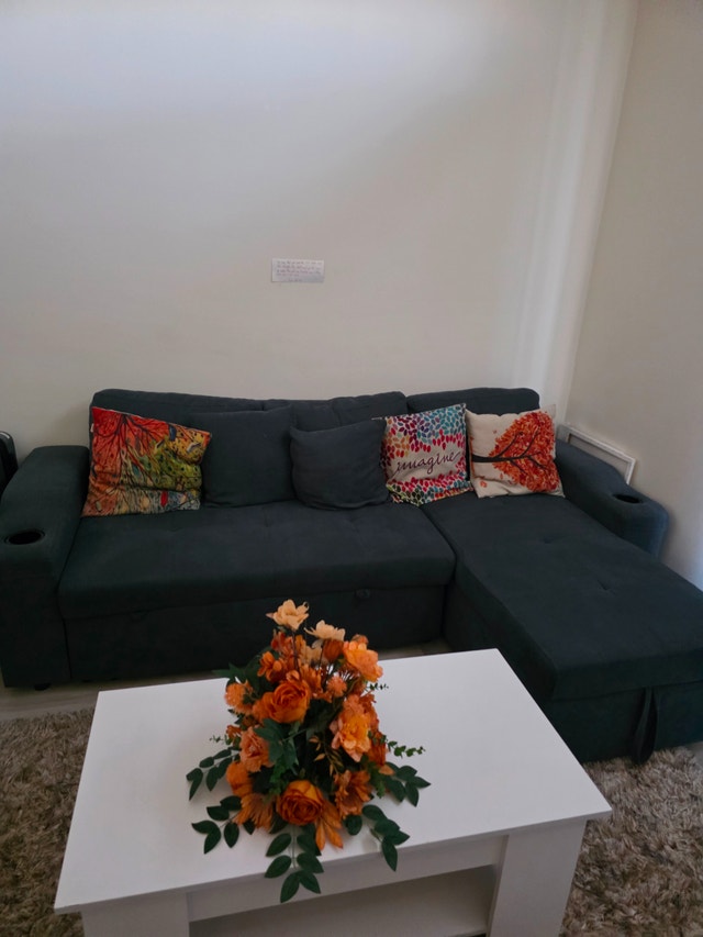 Moveout sale: Sectional Sofa Couch with Storage and Pull-out Bed