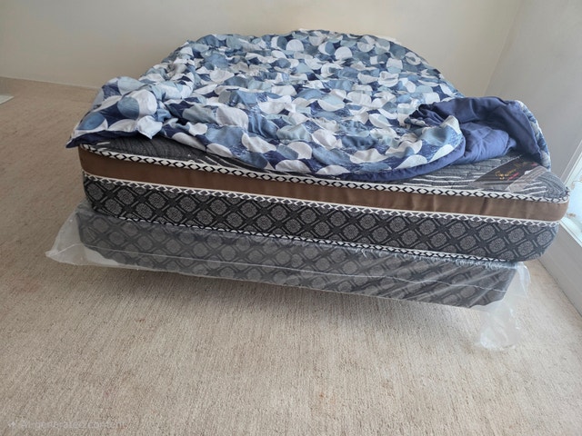 Moveout sale: Queen-Sized Mattress, Spring Board, and Bed Frame - photo 2