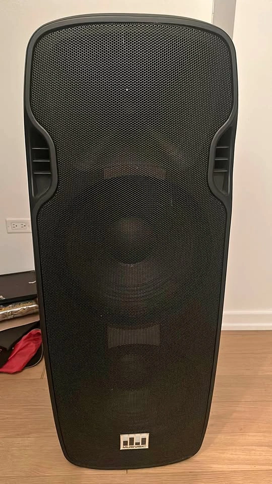 Musysic 5000W Portable PA System with Cordless Microphones