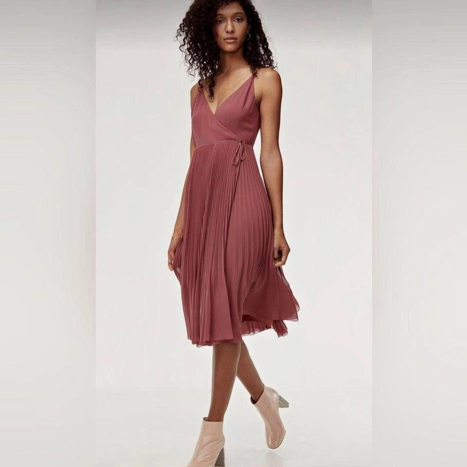 Aritzia Wilfred Beaune Dress