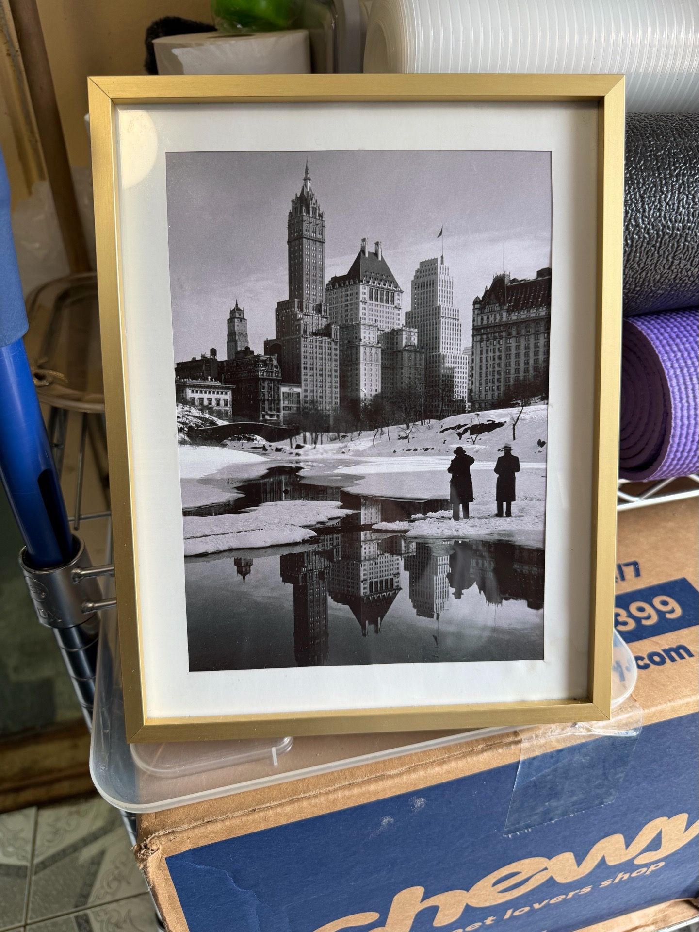 New York City, Plaza Buildings by Samuel H. Gottscho