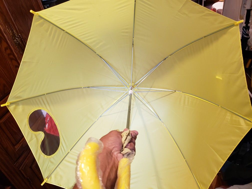 Goggles umbrella