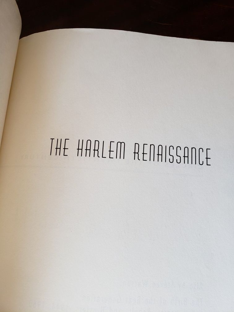 The Harlem Renaissance - photo 4